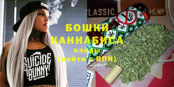 дмт Гусев