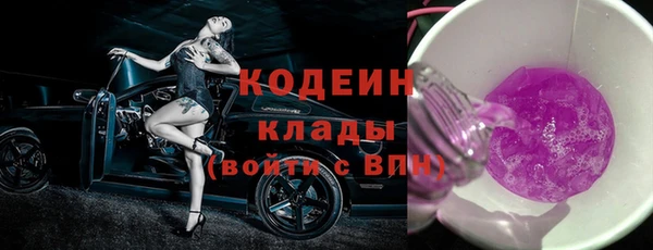 дмт Гусев