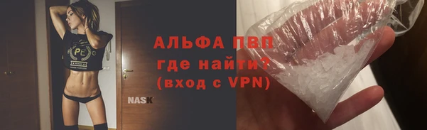 дмт Гусев