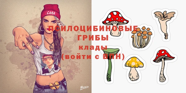 дмт Гусев