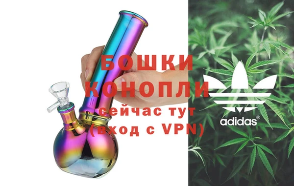 эйфоретик Шали