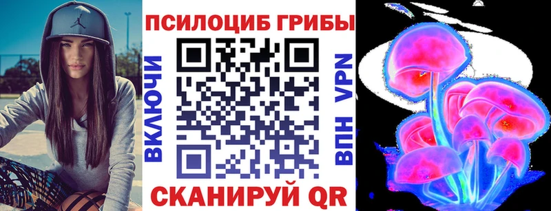 blacksprut ссылка  Мариинск  Галлюциногенные грибы Psilocybine cubensis 